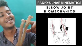 RADIOULNAR JOINT KINEMATICS ELBOW COMPLEX BIOMECHANICS Physiotherapy Tutorials [upl. by Audris]