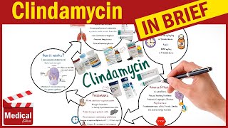 Clindamycin  Cleocin  What is Clindamycin Used For Dosage Side Effects amp Precautions [upl. by Isiahi]