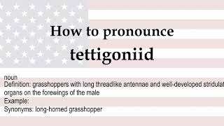 How to pronounce tettigoniid  meaning [upl. by Leupold376]