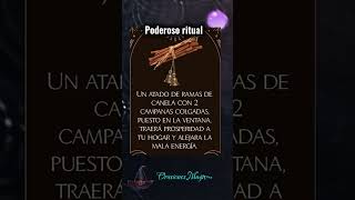 Poderoso Ritual de abundancia y protección ritual abundância dinero magia leydeatraccion [upl. by Atinnor]