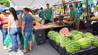 ABACATE DE R 100 FEIJÃO DE R 300 SÓ NA FEIRAS DO NORDESTE [upl. by Marchal550]