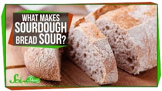 What Makes Sourdough Bread Sour [upl. by Notyep476]