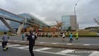 Fukuoka Marathon 2023 [upl. by Aramen]