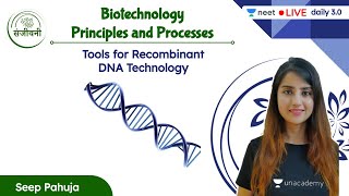 Tools for Recombinant DNA Technology  Biotechnology  L2  NEET 202223  Seep Pahuja [upl. by Nosreffej530]