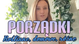 Vlog domowy🙂rośliny zakupy z Action [upl. by Goldarina]