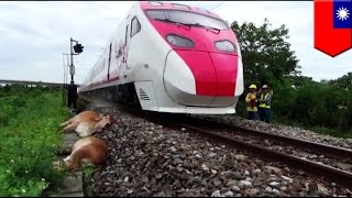 Fatal train accident takes 6 lives without warning [upl. by Idnahs653]