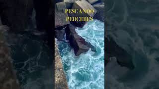 PESCANDO PERCEBES 🌊 pescamar pescaartesanal fishing [upl. by Shaffert293]