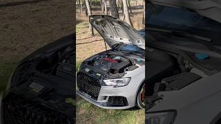 AUDI RS3 8V 🔥 audi podcast [upl. by Burlie]