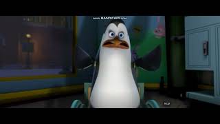 Kowalski cut scream fy fyp viral funny cutscream veryfunnyvideo [upl. by Gaillard836]