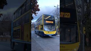 Dublin Bus Route 123  Enviro400 EV66  Kilnamanagh Road Walkinstown  1172024 [upl. by Anazus]