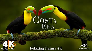 COSTA RICA 4K UHD  Exploring The Wild Side Of Costa Ricas Landscapes [upl. by Baldwin]