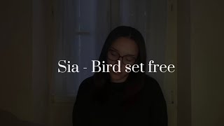 Sia  Bird set free cover by Andie [upl. by Asirehc]