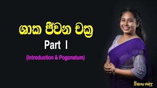 ශාක ජීවන චක්‍ර  Shaka jeewanachakra  Plant life cycles  Episode 01  Introduction amp Pogonatum [upl. by Nolram]