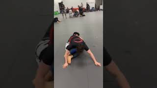 Heres a sequence for you to work on 5050 to berimbolo to back take bjj wrestling mma [upl. by Tavy]