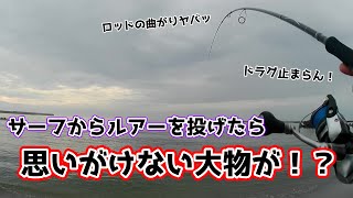 まさかの大物！？サーフからのルアーでやばいヤツきた！！ 新潟 釣り [upl. by Ocinemod]