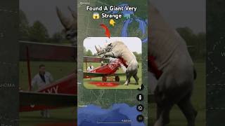 Found Giant Strange Rhino 🦏🤯 on google maps and google earth 🌎 shots hrgoogleearth [upl. by Maleen862]