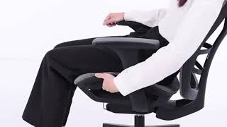 High Back Ergonomic Office Chair with Adjustable Lumbar Support and Armrest [upl. by Bonaparte]