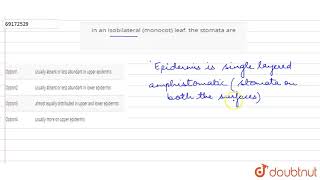 In an isobilateral monocot leaf the stomata are [upl. by Huppert]