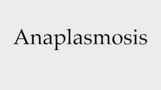 How to Pronounce Anaplasmosis [upl. by Winshell831]