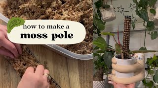 How to Make a Moss Pole for Climbing Plants  DIY Moss Pole [upl. by Belloir]