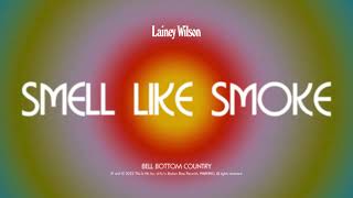 Lainey Wilson  Smell Like Smoke Official Audio [upl. by Cherida]