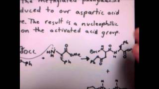 Synthesis of Aspartame [upl. by Grassi616]