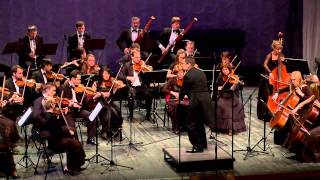 WA Mozart  Symphony No 40 gmoll  I [upl. by Cyndy584]