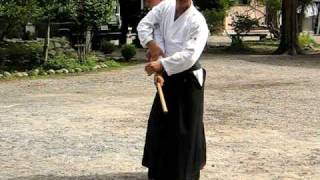 Inagaki shihan8 dan Jo tori [upl. by Serrano]