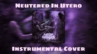 Infant Annihilator  Neutered In Utero Instrumental Cover [upl. by Woodcock260]