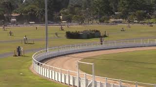 Gympie 20240615 Race 2 [upl. by Trstram]