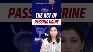 Micturition process of urine in Hindi  NEET Concept neet2024 neet2025 neetbiology [upl. by Nelly]