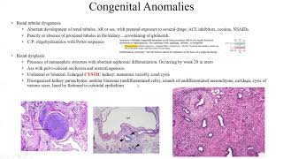 Pathology Made EasySystemic Pathology 4RenalampUT Diseases3 [upl. by Emanuela]