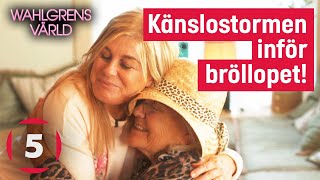 Wahlgrens värld  Känslostorm när Pernilla och Christian flyttar upp bröllopet  Kanal 5 Sverige [upl. by Gniliem]