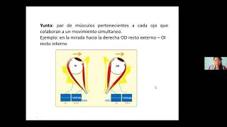 Fragmento del curso Diagnóstico y tratamiento de desviaciones oculares no concomitantes [upl. by Euqirrne]