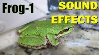 Frog Sound 1  Sound Effects [upl. by Inami]