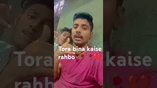 Tere Bina kaise rahoge Sone kare jaware short video viral song [upl. by Wolcott]