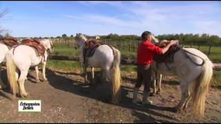 LanguedocRoussillon  Echappées belles [upl. by Urial]