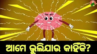 BUDHIA BUDHABAR 65  ଭୁଲିଯାଉ କାହିଁକି  Why do we forget  BOU RA GAPAPEDI  ODIA GAPA [upl. by Oinotnaocram988]