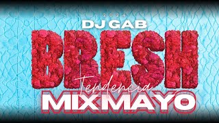 BRESH 2024 ☀️ TENDENCIA MAYO 2024 🔥 MIX LO NUEVO REGGAETON  CACHENGUE  Previa y Cachengue  DJ GAB [upl. by Gilbertina]