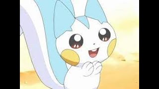 Pachirisu being cute for 1 minute straight [upl. by Rehpoitsirhc]