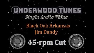 Black Oak Arkansas  Jim Dandy mono promo 45  1973  Single Audio Video [upl. by Anirrok]