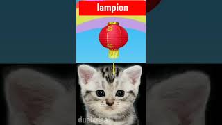 kucing lucu tebak gambar lampion shorts kucinglucu lampion [upl. by Raamaj]