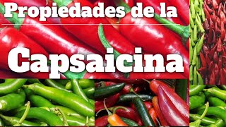 Las propiedades de la Capsaicina El compuesto saludable de los chiles que quita el dolor [upl. by Naeloj]