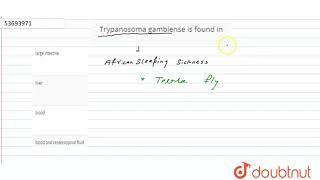 Trypanosoma gambiense is found in [upl. by Damita713]