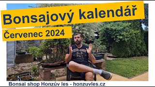 Bonsajový kalendář  červenec 2024 [upl. by Eityak]