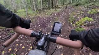 Gravel Bike on Singletrack 😳 Ester Dome  Fairbanks AK 24Aug24 [upl. by Xymenes]