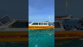 Perhentian Island Malaysia Vlog minivlog perhentianisland malaysia island islandlife shorts [upl. by Oneal]