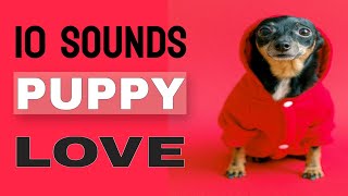 10 Sounds Puppy Love The Most [upl. by Atteuqehs]