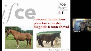 5 recommandations faire perdre du poids à mon cheval  P Doligez [upl. by Curt]