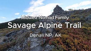 Savage Alpine Trail Denali NP Alaska 4k [upl. by Suivatnod]